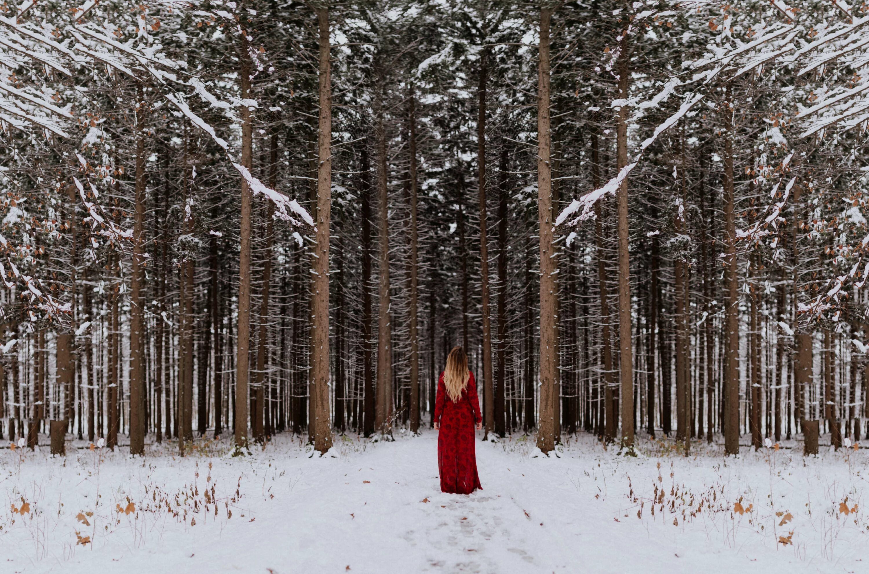 В лесу зимой можно. Зимняя фотосессия в лесу. Зимняя фотосессия в лесу девушек. Красивая зимняя фотосессия в лесу. Человек в зимнем лесу.