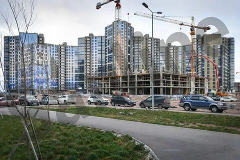 Тихая гавань квартира