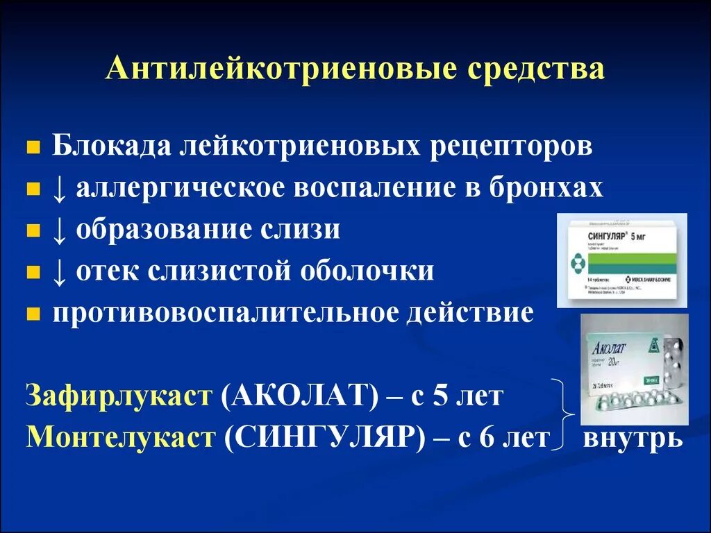 Слайдотека
