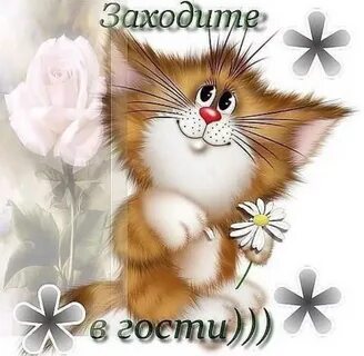 Будем ждать вас в гости