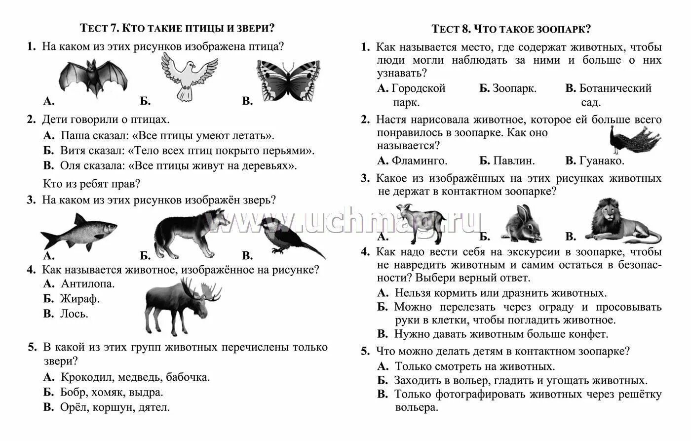 Теста окружающий мир 1 класс. Тест по окружающему миру 1 класс кто такие звери. задачи по окружающему миру 1 класс олимпиада с ответом. тест для 1 класса по окружающему миру природа. описание птицы по плану 1 класс окружающий мир.