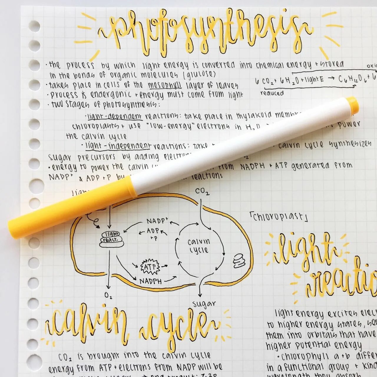 Notes заметки. Study Notes aesthetic. Study Notes ideas. Заметки aesthetic.