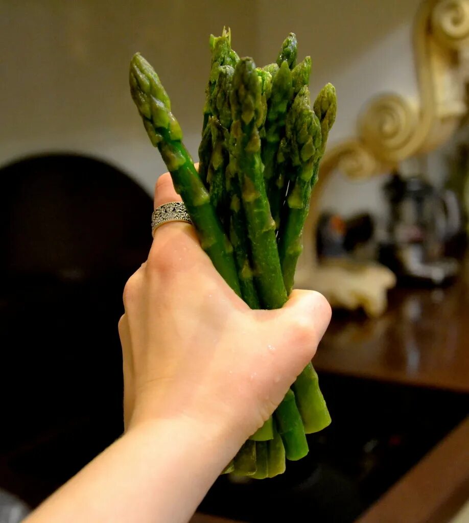 спаржа дорогая. спаржа лекарственная гербарий. аспарагус спаржа. артишок и спаржа. спаржа дорогая.