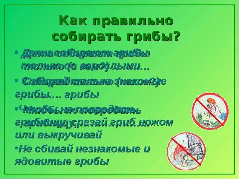 Как правильно собирать грибы. Как правильно собрать. Собери или Собири как правильно пишется. Как правильно обнираит.