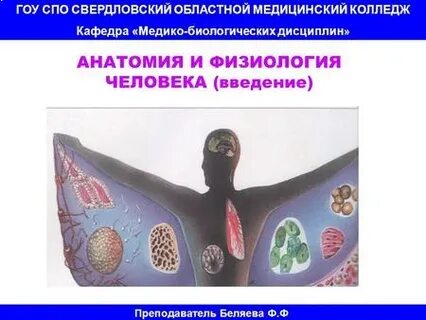 Оп 02 анатомия и физиология человека