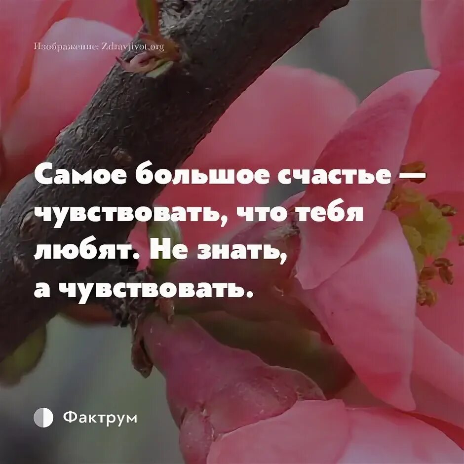 Что нужно человеку чтобы чувствовать счастье. Счастье чувствовать что тебя любят. Самое большое счастье чувствовать что тебя любят не. Самое большое счастье чувствовать что тебя. Самое большое счастье.