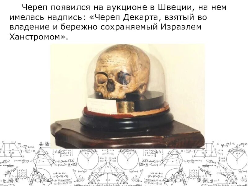 Череп вылезть. Бережная череп. мыслю значит существую картинки.