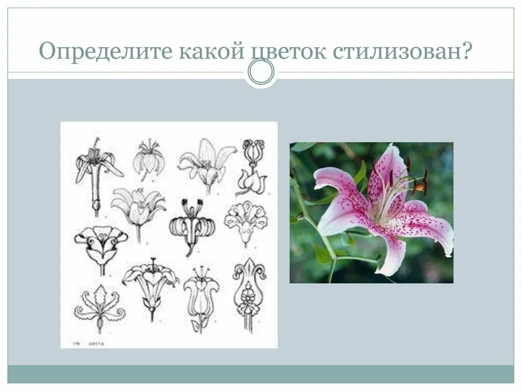 Какие приемы используются при стилизации растения. Черты стилизации. стилизация цветов презентация. трансформация цветка. обобщенность и стилизации растительных форм.