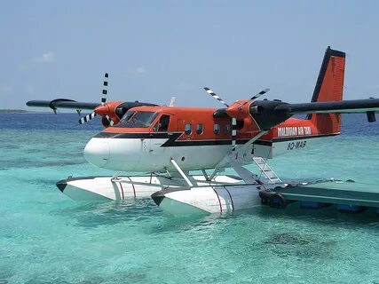 Twin otter