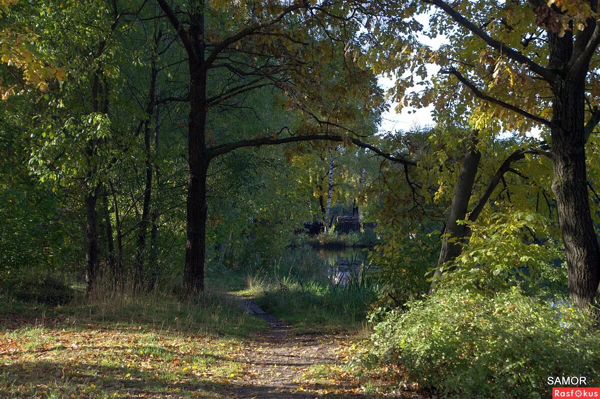 поселок салтыковка московская область. салтыковка 2023. балашиха микрорайон салтыковка разинское шоссе дом 29 кв 3. микрорайон салтыковка балашиха московская область. салтыковка 2023.