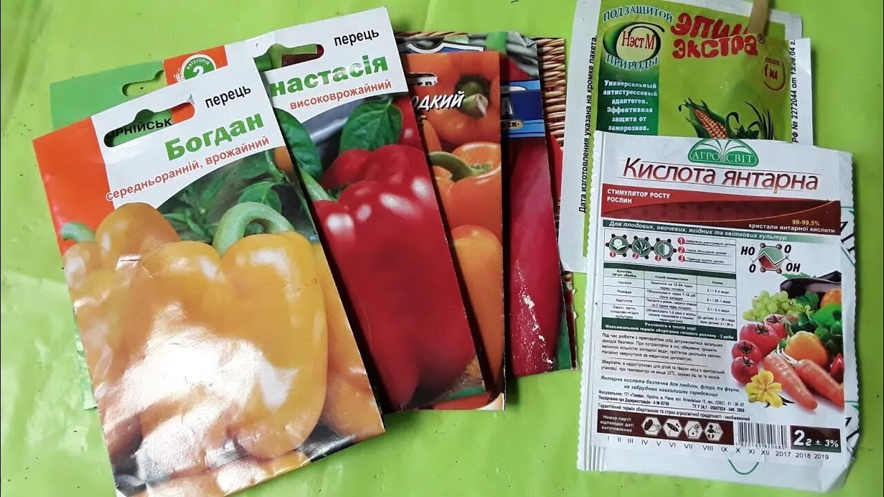 Как проверить всхожесть семян перца сладкого. Посадка семена болгарского перца. намачивание семян перца. пророст семян перцев. фото семян перца.