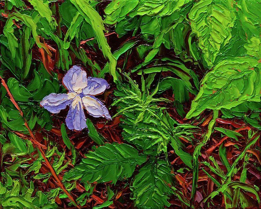 Mili through patches of violet. Through patches of violet.