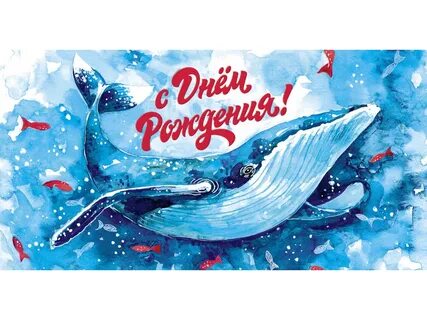 С днем рождения кит