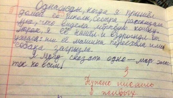 Написать рассказ на тему случай в. Смешные сочинения. Смешные детские сочинения. Смешные сочинения школьников. Смешные сочинения детей.