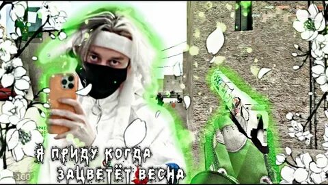 Текст песни алены швец я приду