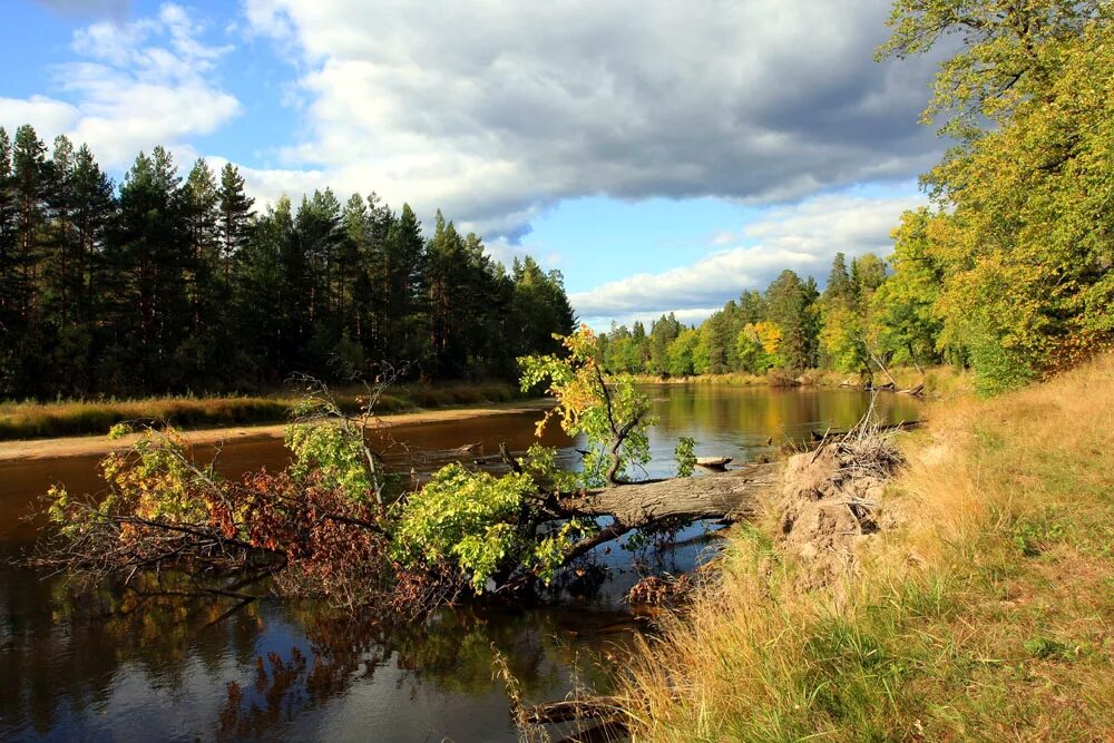 Поселки володарского района нижегородской области. Река Лух Фролищи. Речка Лух Нижегородская область. Река Лух Нижегородская область. Река Лух Нижегородская область Фролищи.