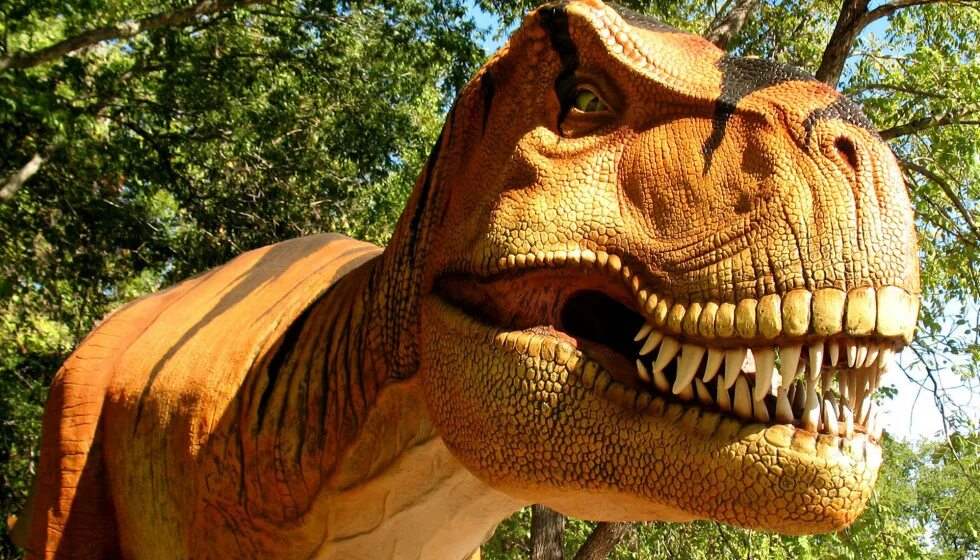 настоящие динозавры настоящие. жизнь динозавров. настоящих динозавров. спинозавр планета динозавров. динозавры настоящие.