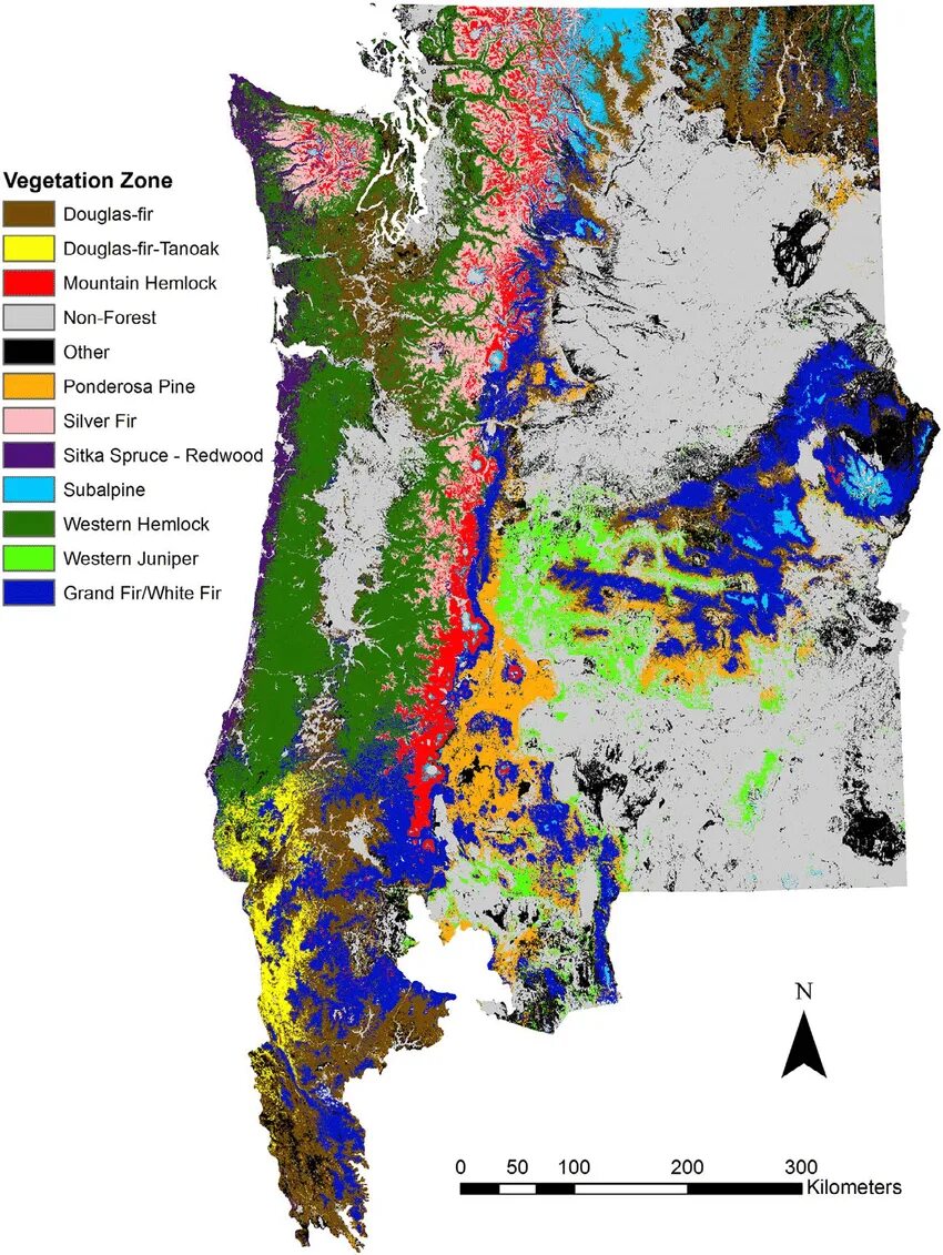Vegetation and soils. Vegetation and soils
