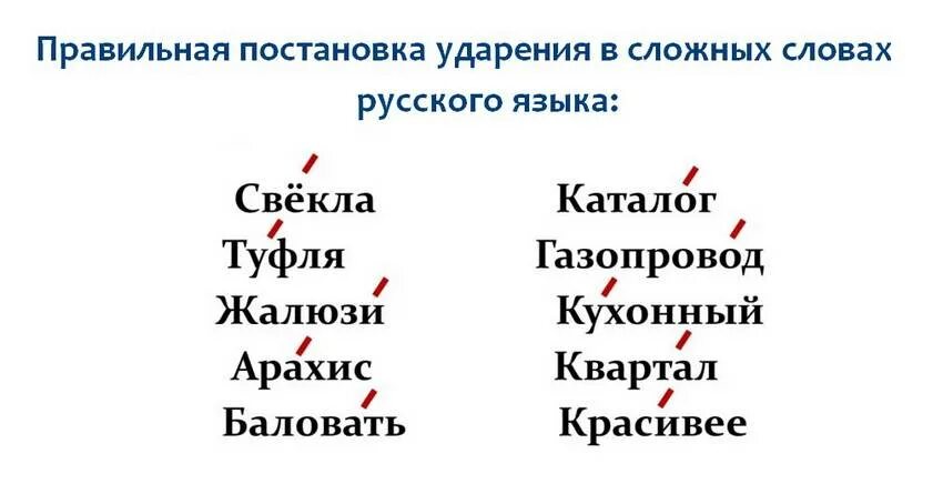 Инсульт ударение на какой слог. Правильная постановка ударения в словах. свекла ударение правильное. ударение в слове свёкла или свекла. свёкла или свекла как правильно ставить ударение.