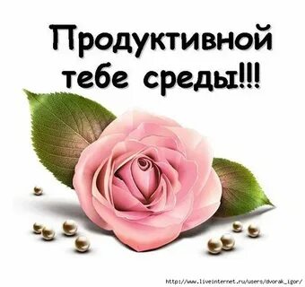 Э среда