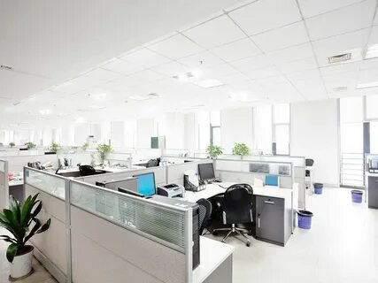 Company environment