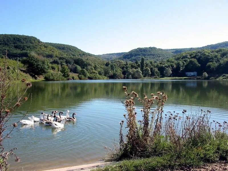 Озеро кучки село родное рыбалка. Озеро кучки село родное рыбалка. Озеро кучки севастополь. Село родное озера. Озеро родное севастополь.