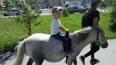 Кони пони москва