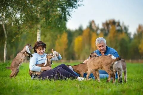 Экоферма сайт