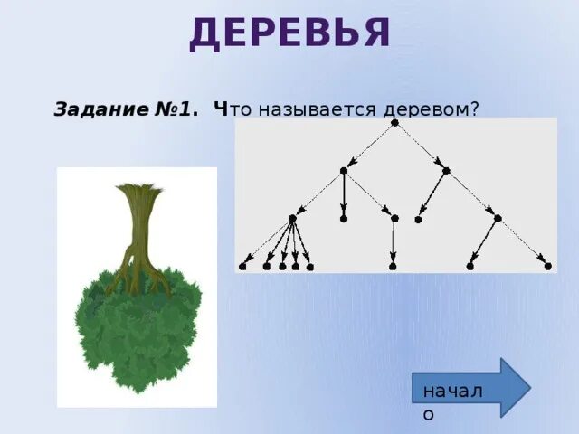 Случайный эксперимент в виде дерева. Дерево задач. Дерево некоторого случайного опыта. Дерево случайного опыта задачи.