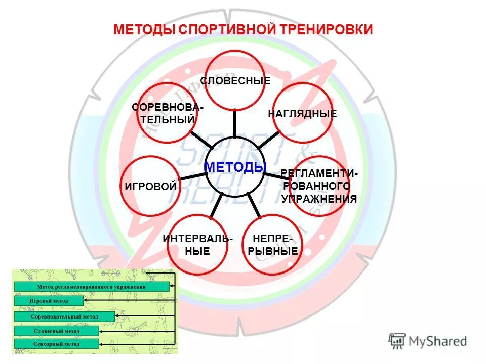 Организация деятельности спортивной школы