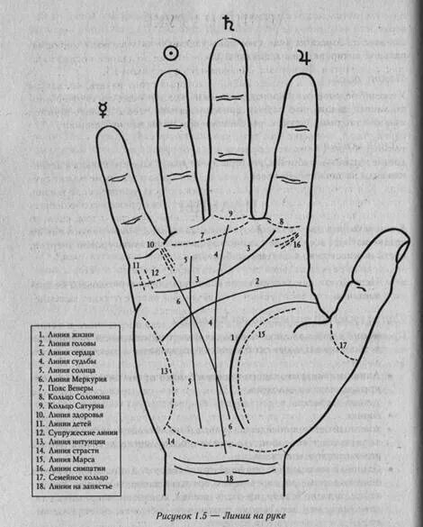 Хиромантия по руке значение. Хиромантия линии на руке. Хиромантия сбоку линии. Хиромантия линия здоровья. Хиромантия левой руки.
