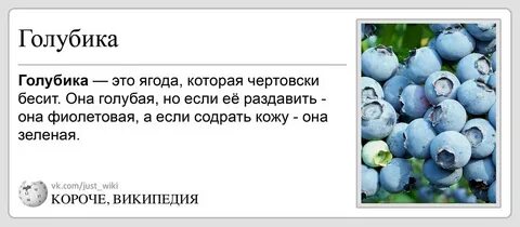 Голубике нужна пара
