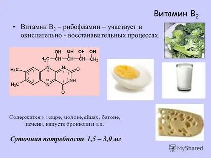 В2 роль в организме