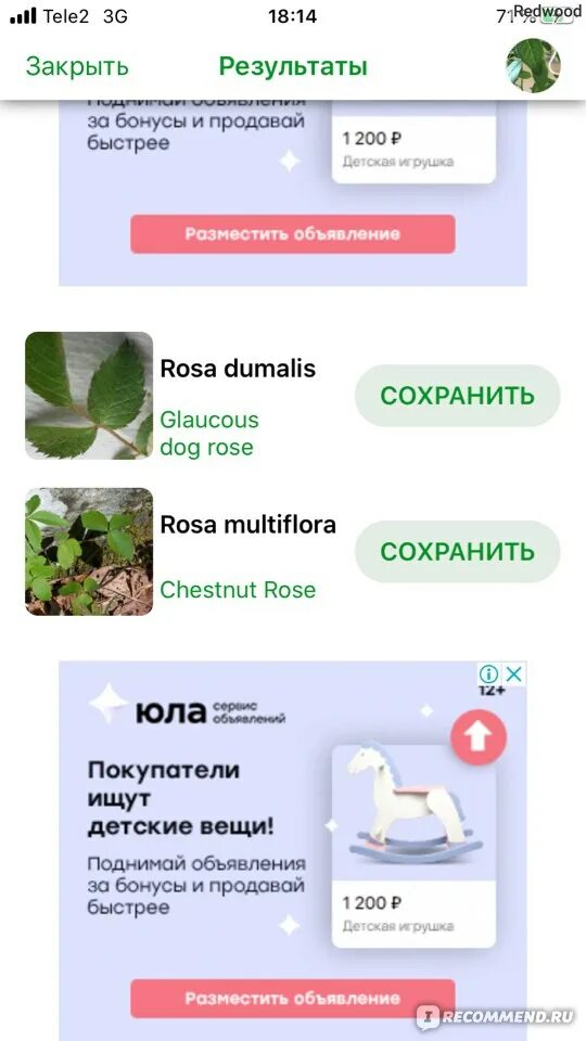 Андроид программа распознавания растений. Андроид программа распознавания растений