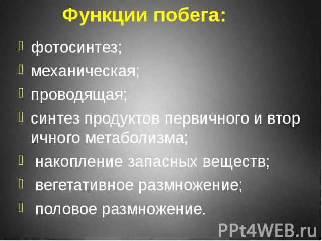 Основные функции побега растения. Побег, лист,почка, пазуха листа,узел, междоузлие. Какие функции побега растения. Функции побега биология 6 класс кратко. Какие функции побега растения.