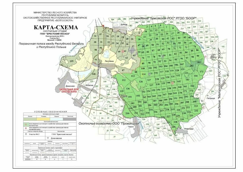 Карта лесхоза. Схема лесничества. Карта схема лесничества. Карта лесхоз-угодий. Карты лесного хозяйства