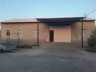 Участка бухара