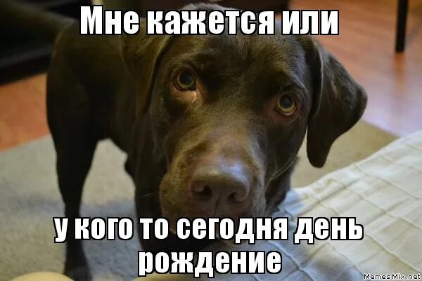 у кого-то сегодня день рождения.