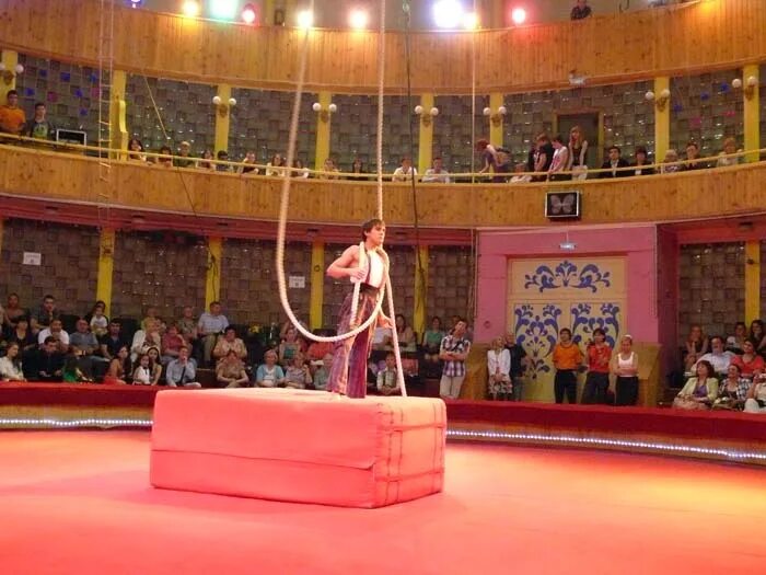 Снять цирк. Бенджамин клоутер дрессировщик. Арена цирка шапито. Цирк шапито, шатер. Шоу цирк со звездами участники.