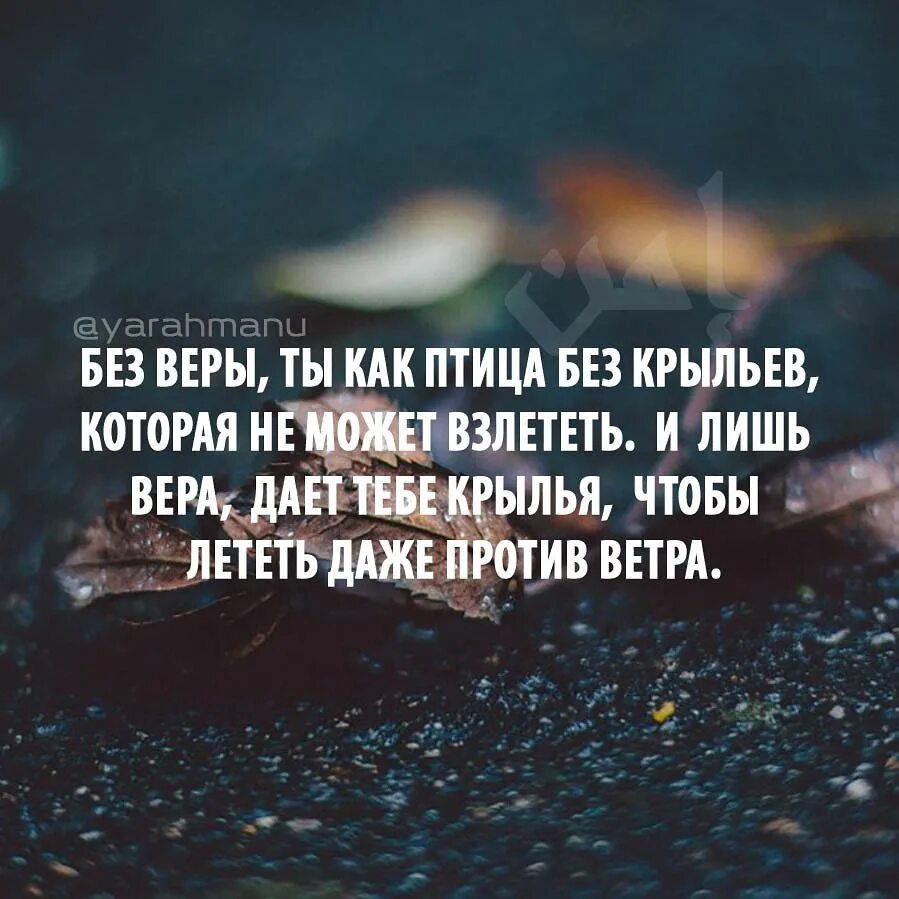 Жизнь после веры. Человек без веры. Без веры ты. Человек без веры как. Без веры цитаты.