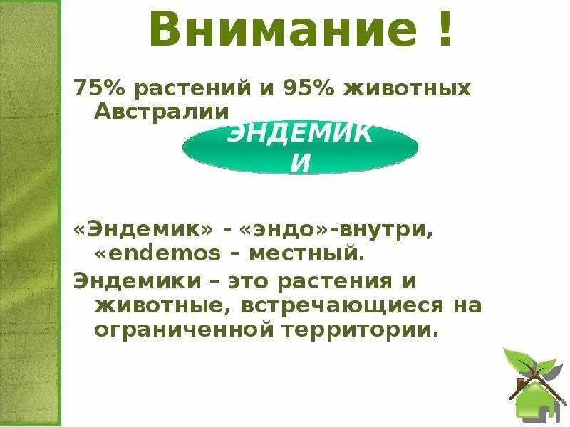 Эндемические животные и растения Австралии. Эндемики материка Австралия. Растительные эндемики Австралии. Презентация про эндемику растений.