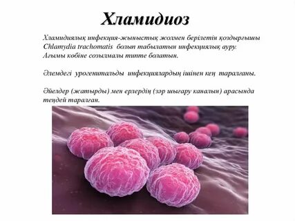 Жігіттердің аяқтарын жалап жатқан фотосы