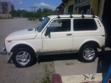 Слик на ниву