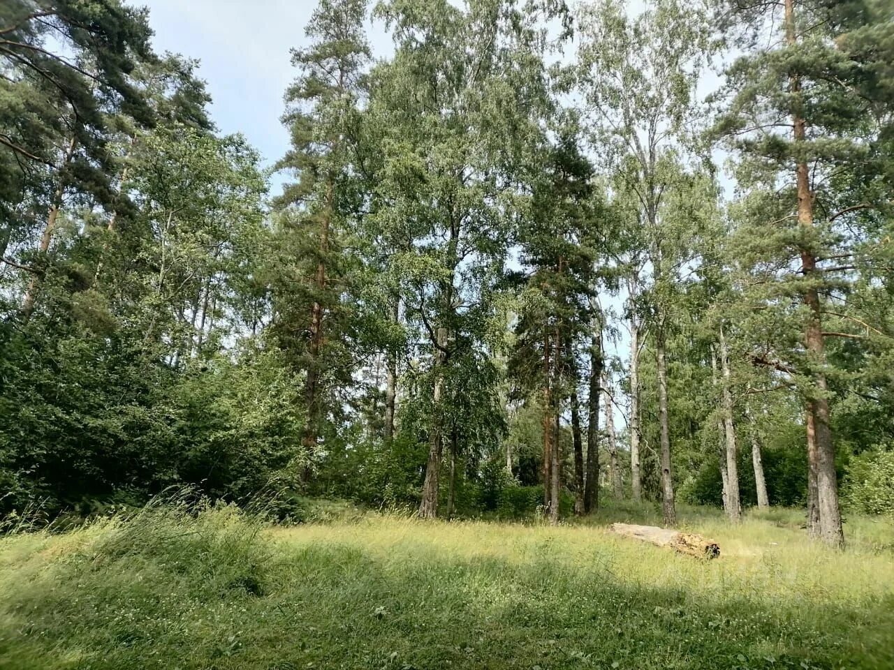 Погода в красной долине лен обл. Выборгский р-н, пос. Погода в красной долине лен обл. Красная долина ленинградская область фото. Красная долина ленинградская область.