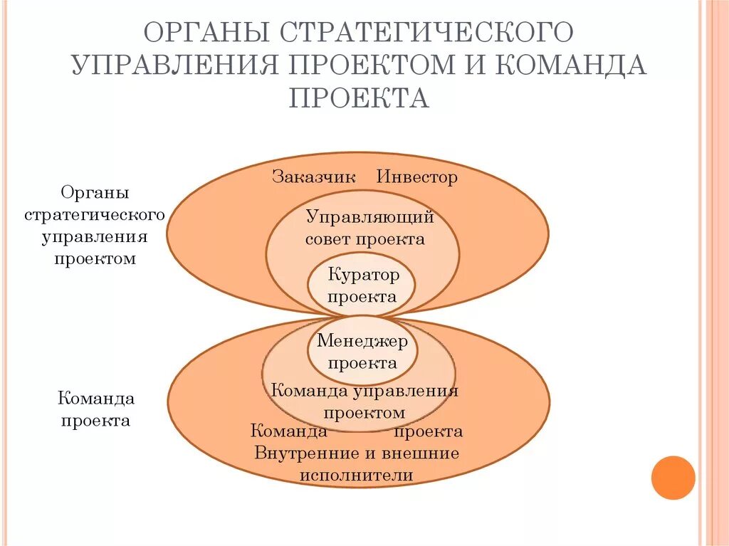 Органы стратегического управления и команда проекта. Команда проекта и команда управления проектом. Органы стратегического управления проектом. Функционал в команде проекта. Управление проектной группой