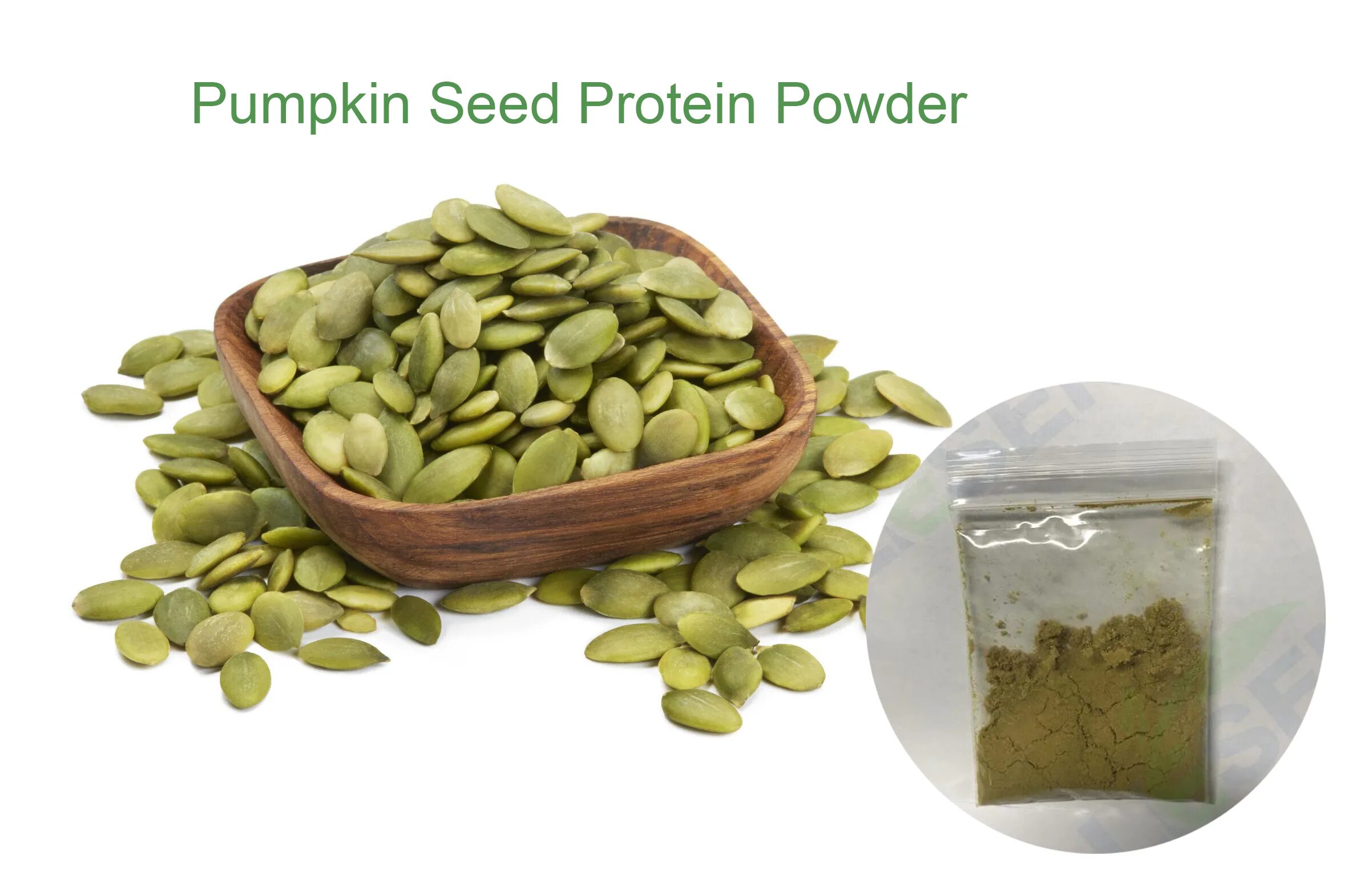 тыквенные семечки белкам можно. можно белку кормить тыквенными семечками. тыквенные семечки белкам можно. тыквенные семечки белкам можно. можно ли собакам семечки тыквы.