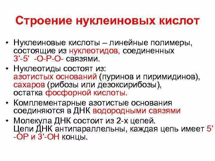 Структурная функция нуклеиновых кислот. Структура и свойства нуклеиновых кислот биохимия. нуклеиновые кислоты биохимия. нуклеиновые кислоты состоят из. свойства нуклеиновых кислот биохимия.