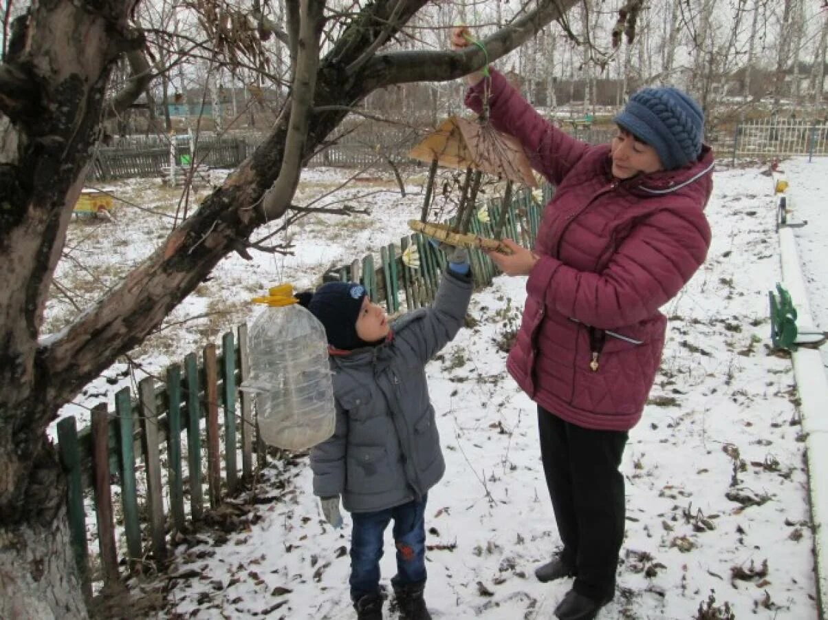 День птиц фотоотчет. Фотоотчет птиц в кормушке. Фотоотчет об акции Покормите птиц зимой. Покормите птиц зимой с детьми в саду фотоотчет. Фотоотчет на прогулке покормили птиц в детском саду зимой.