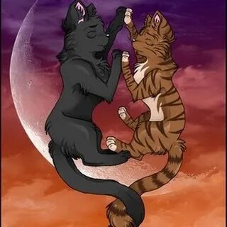 Грач и листвичка коты