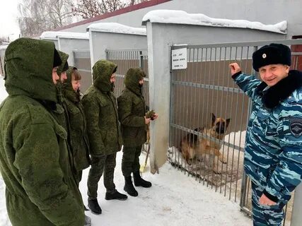 Государственный кинологический колледж